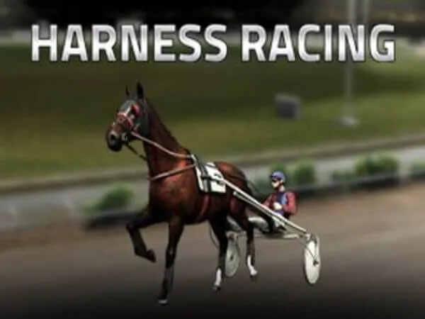 lucky-trunk-harness-racing