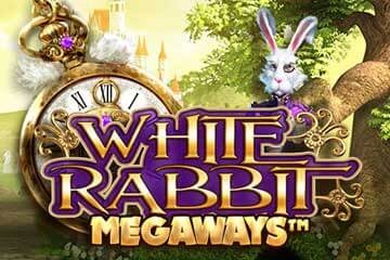 lucky-trunk white rabbit